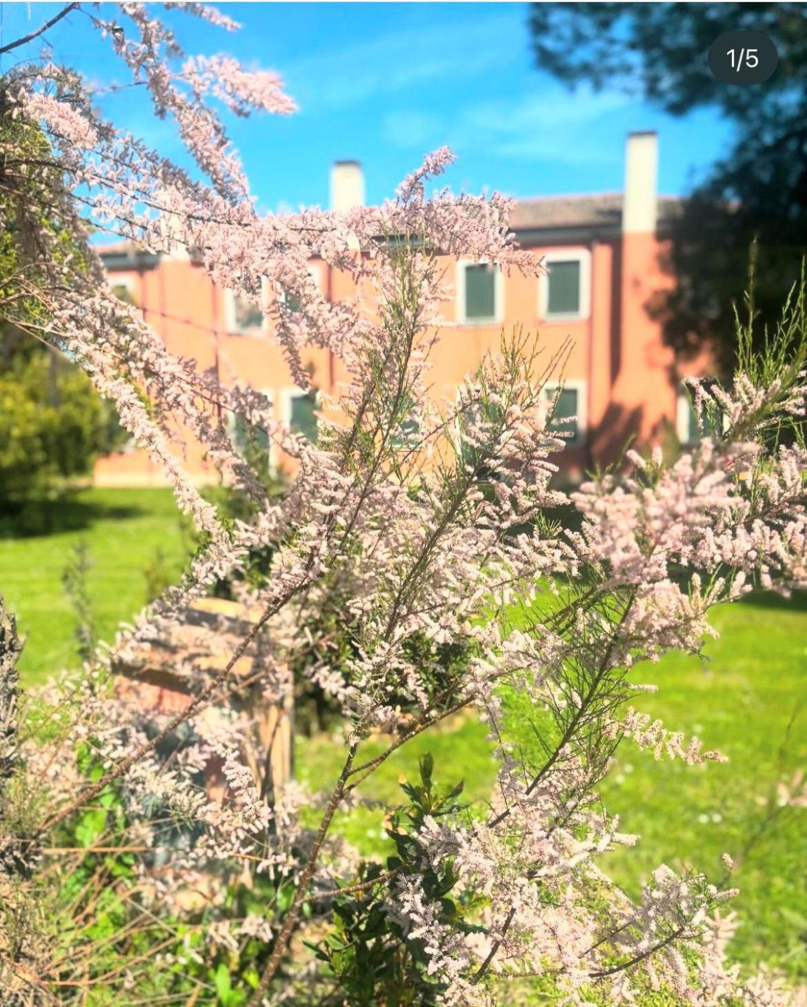 Agriturismo Ca' Bonelli 1924 Scardovari Eksteriør billede